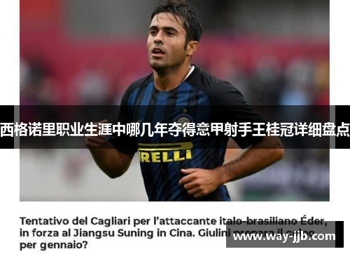 西格诺里职业生涯中哪几年夺得意甲射手王桂冠详细盘点