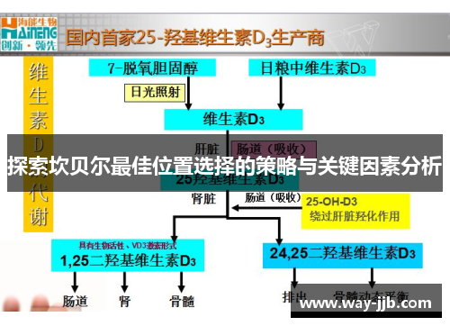 探索坎贝尔最佳位置选择的策略与关键因素分析