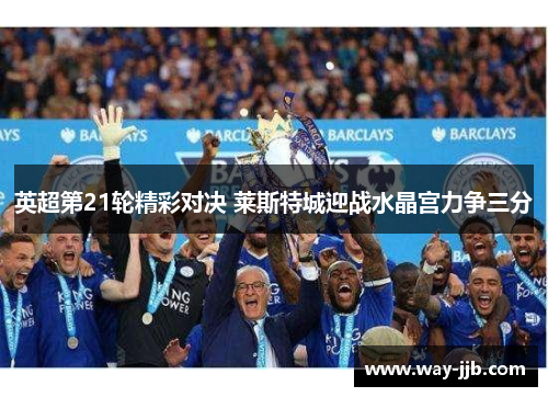 英超第21轮精彩对决 莱斯特城迎战水晶宫力争三分 英超第21轮精彩对决 莱斯特城迎战水晶宫力争三分