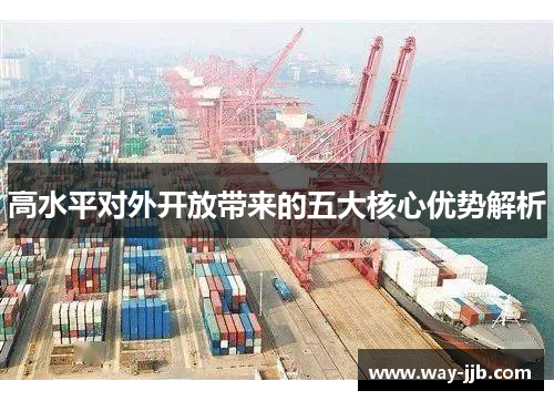 高水平对外开放带来的五大核心优势解析