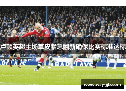 卢顿英超主场草皮紧急翻新确保比赛标准达标