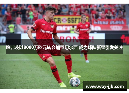 哈弗茨以8000万欧元转会加盟切尔西 成为球队新星引发关注 哈弗茨以8000万欧元转会加盟切尔西 成为球队新星引发关注